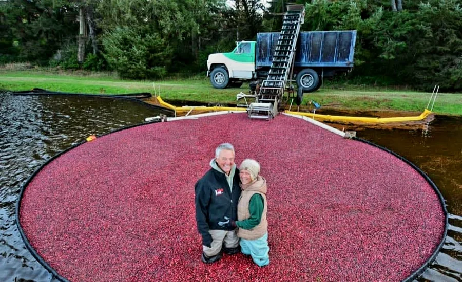 Barry and Jodie in their cranberry bog outside Bandon, Oregon