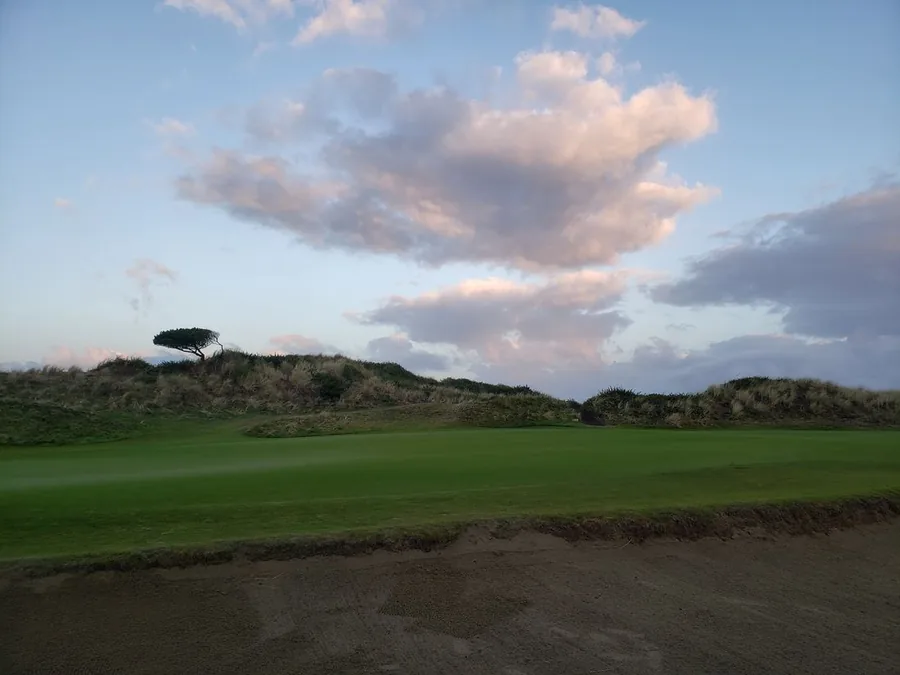 A green at Bandon Dunes at dusk, a single windswept pine sitting on the dune above and pink clouds in the sky