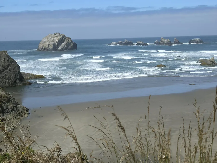 Face Rock and the sea stacks of Bandon viewed through tall dune grass on a clear summer day, waves rolling onto the wide beach below