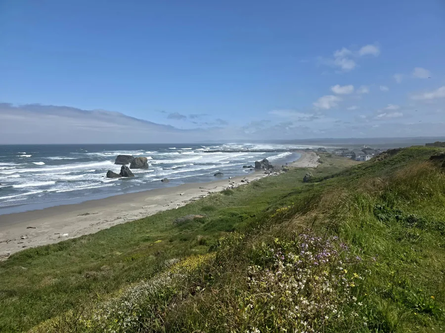 The Coquille River south jetty curving out into the Pacific, with Face Rock and the sea stacks down the coast on the left and the white Coquille River Lighthouse on the far north shore, wildflowers and dune grass in the foreground